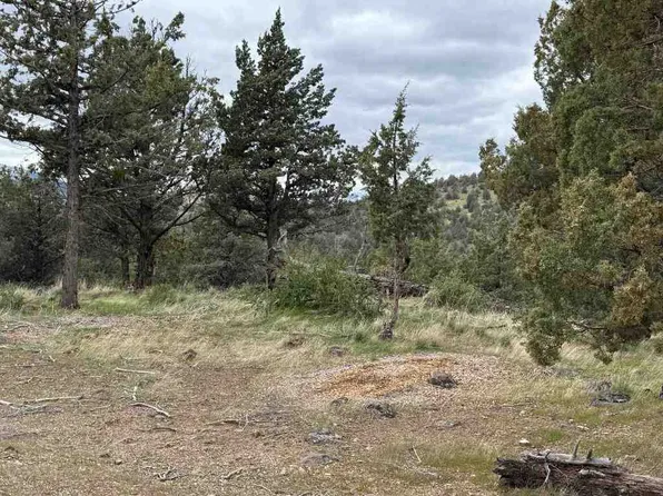 9-2 Pawnee Rock Rd Lot 187, Weed, CA 96094