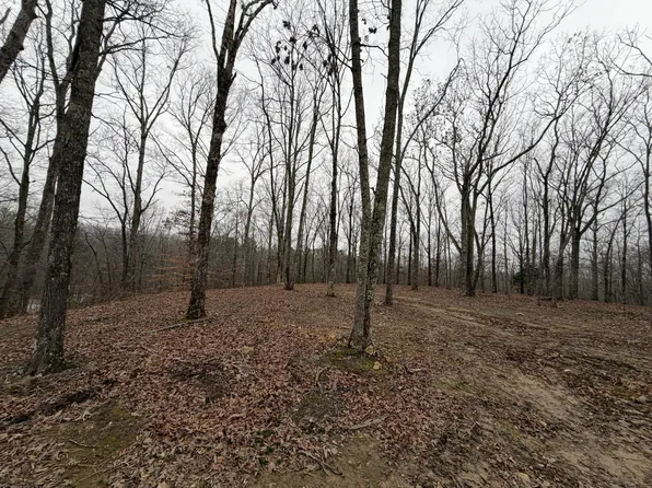 0 Highway 50 E Lot 2, Centerville, TN 37033
