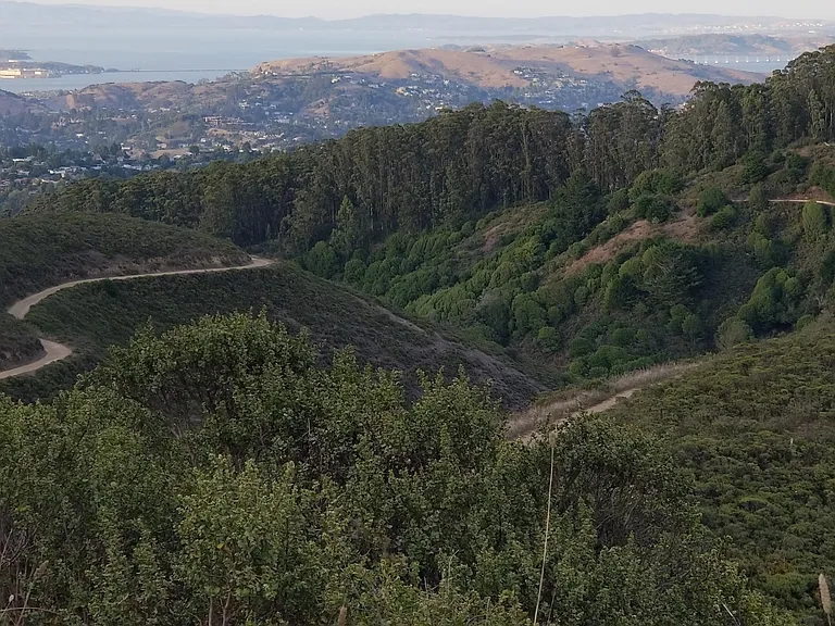 0 Marin Dr — Photo 19