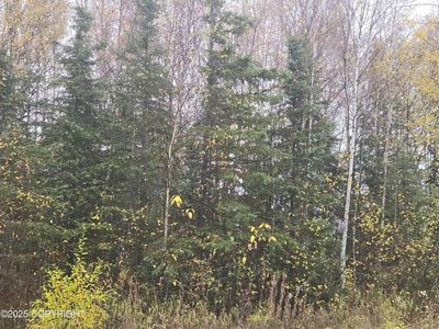 L4 B Brenden Blvd #1, Copper Center, AK, 99573