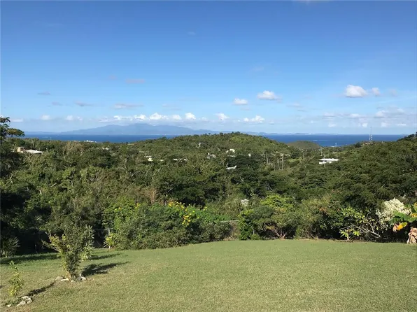 243 AVE DEL SUR, VIEQUES, PR 00765