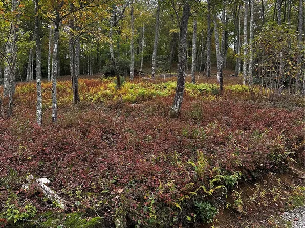 38 Hidden Grouse Lane, Sapphire, NC 28774