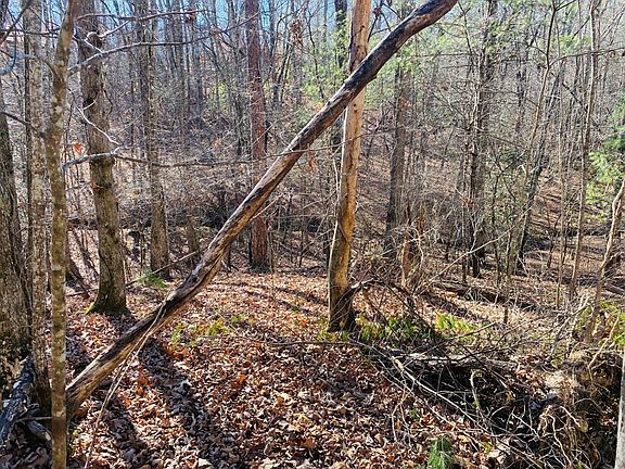 4th image of LOT 205 Windy Mountain Peak