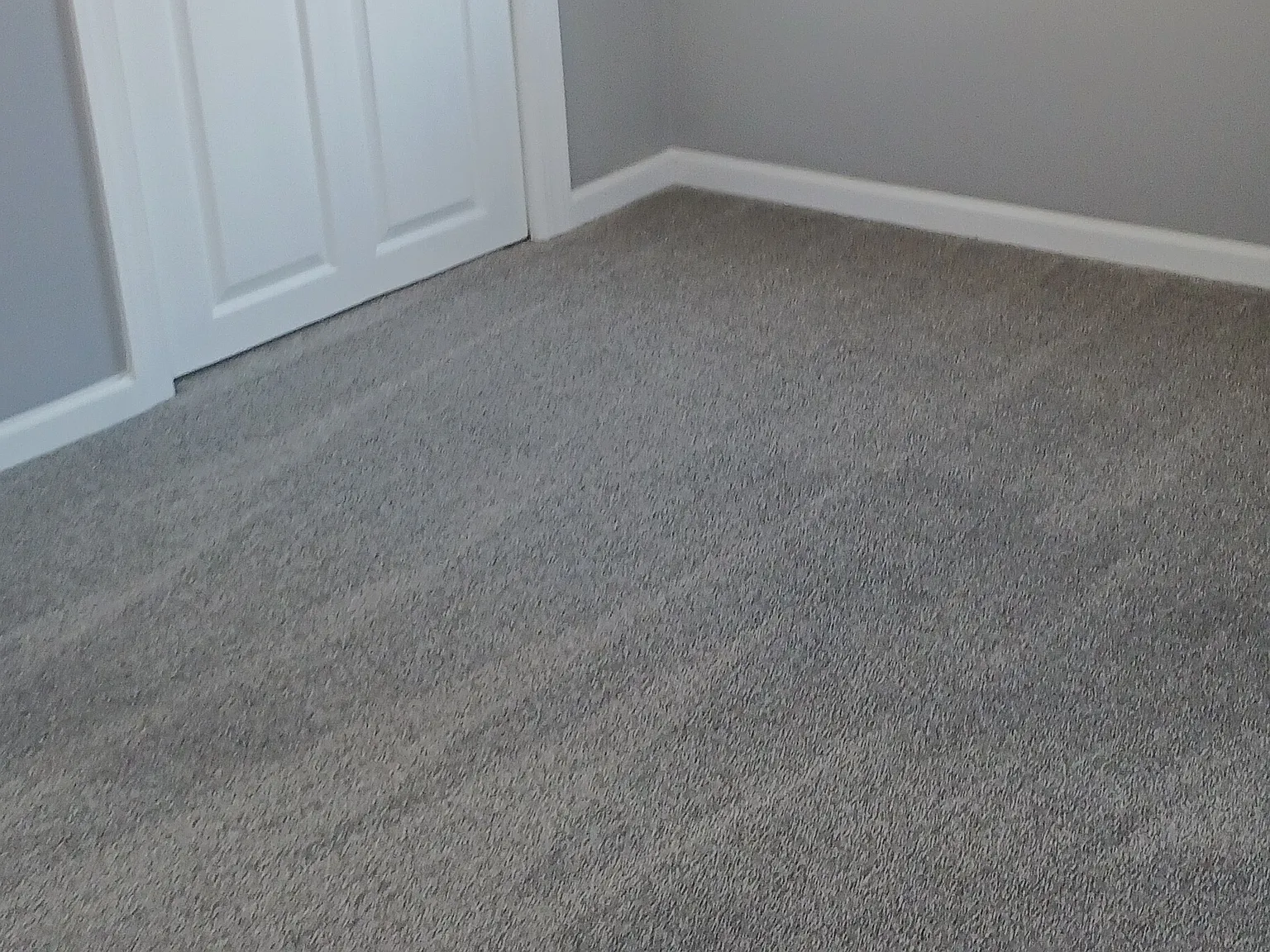 3 bed, 1000 sqft, $1,850 — Photo 2