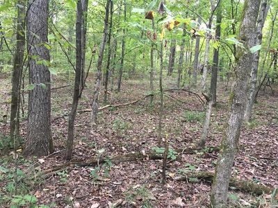 10 State Route T, Richwoods, MO, 63071