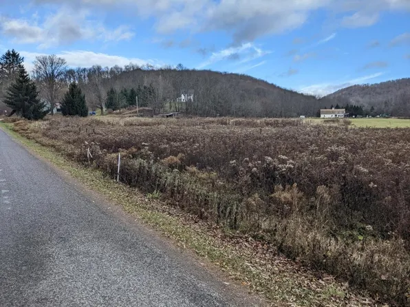 0 Irish Hill Rd Parcel A, Delhi, NY 13753