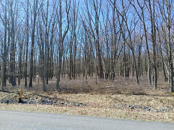 3rd image of 108 Sweet Birch Dr