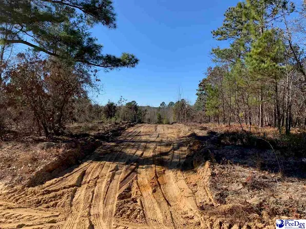 Harper Rd, Patrick, SC 29584