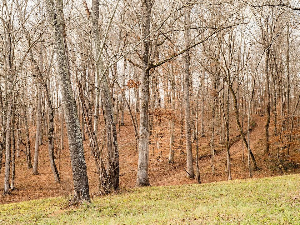 83rd image of this home