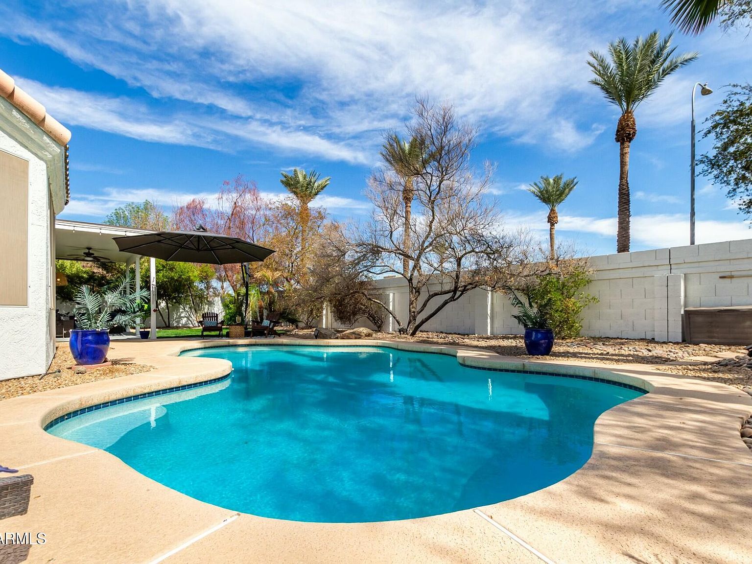 琉球*海花セール　カラフル エアファーン　0529-4 2909 N 111th Dr, Avondale, AZ 85392 | Zillow