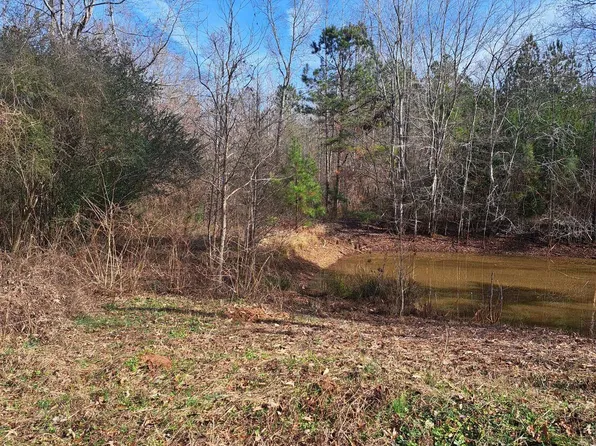 0 County Road 471 #0, Woodland, AL 36280