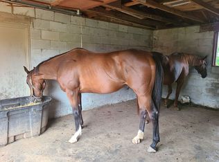 3231 Clays Mill Rd, Lexington, KY 40503