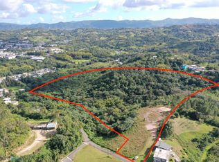 Carr 173 Calle Zafiro #0, Cidra, PR 00739