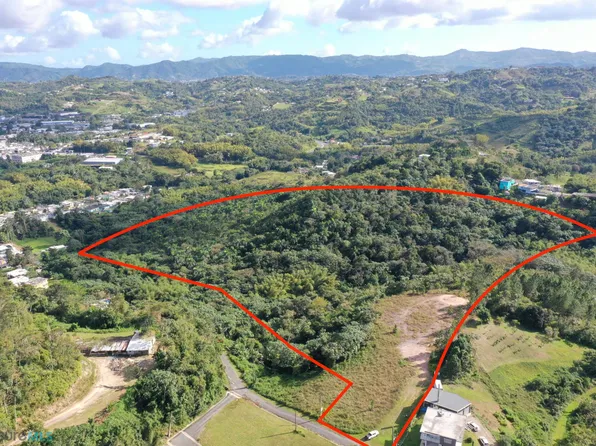 Carr 173 Calle Zafiro #0, Cidra, PR 00739