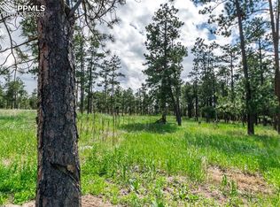 19405 Hilltop Pines Path, Monument, CO 80132
