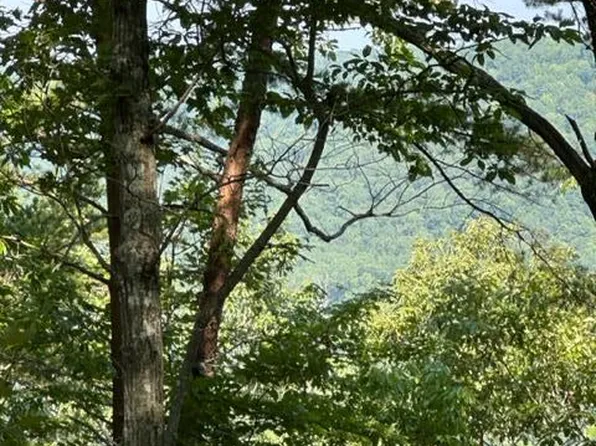 285 Purple Iris, Wilder, TN 38589