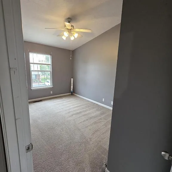 3156 Shaylin Xing — Photo 14