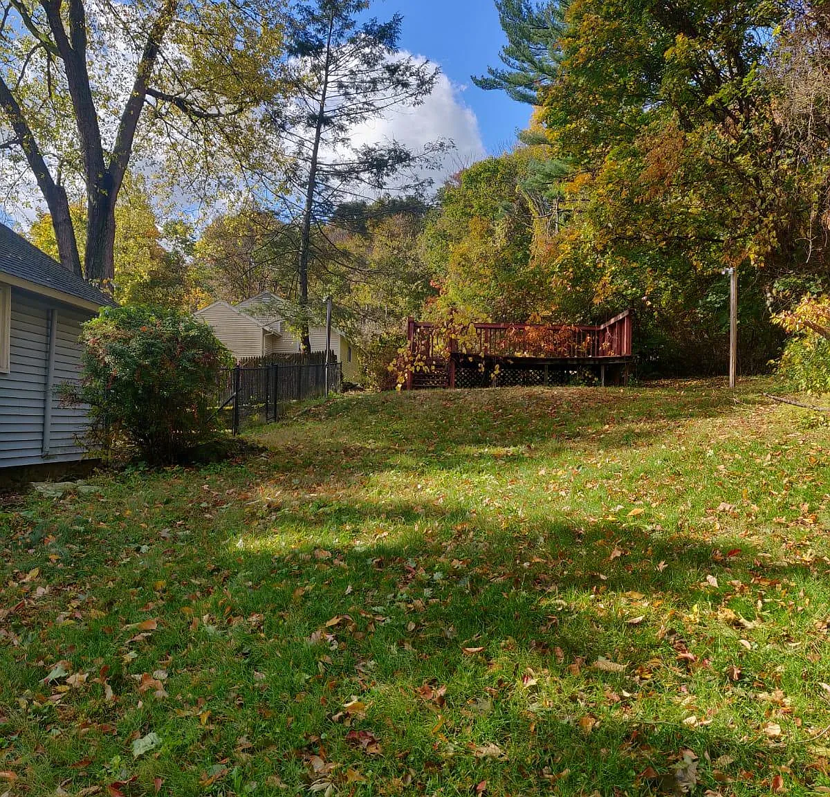 4 bed, 1309 sqft, $1,975 — Photo 4