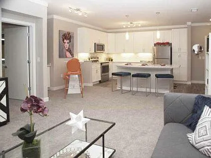 Allure Apartments — Photo 14