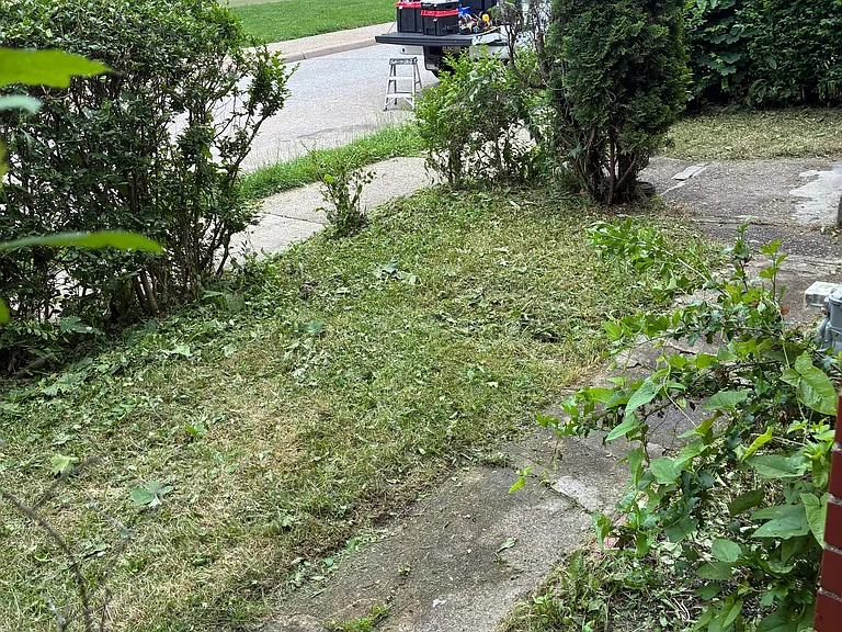 1102 Valley St #B — Photo 29