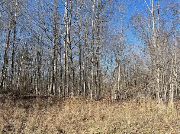 0 Chandler Rd, Woodlawn, TN 37191