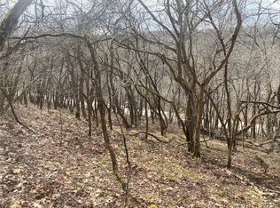 38 County Rd, Alma, NY 14708