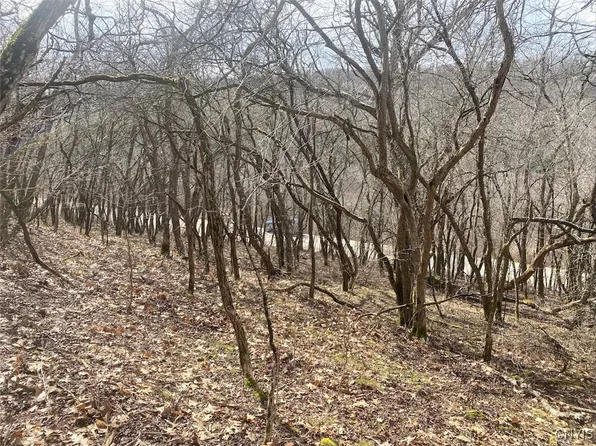 38 County Rd, Alma, NY 14708