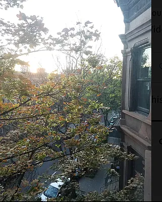 Rented by Bien Realty Ltd | media 27