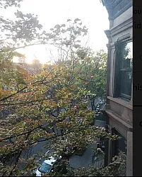 Rented by Bien Realty Ltd