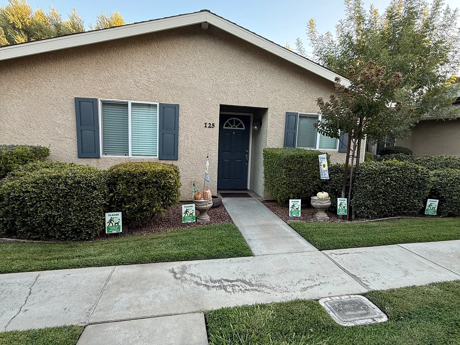 2 bed, 1017 sqft, $1,900 — Photo 3