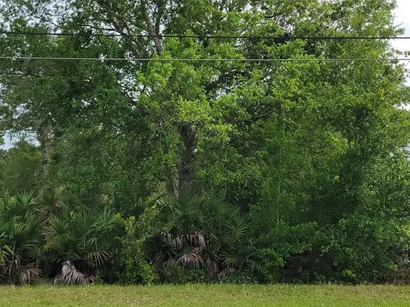 Ralston St Lot 251, Orlando, FL 32833