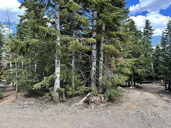 2nd image of 4290 N Cedar Mountain Dr