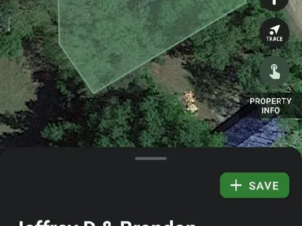 LOT 51 Holly St, Lake, MI 48632