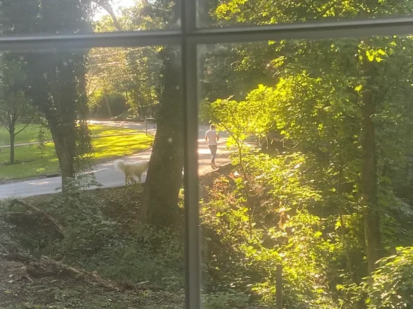 2 Maplewood Rd, Asheville, NC 28804