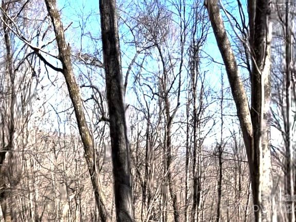 3rd image of 1191 Davy Crockett Dr