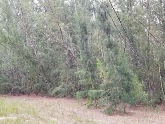2nd image of 12620 Trend Blvd