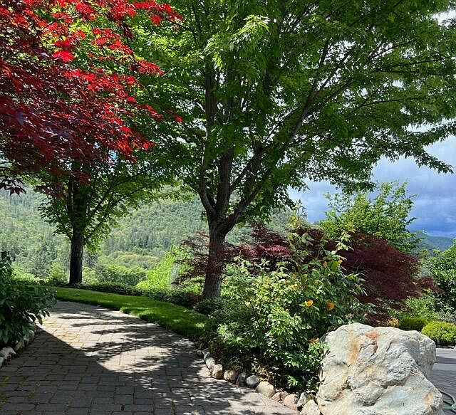 1st image of 925 Galls Creek Rd