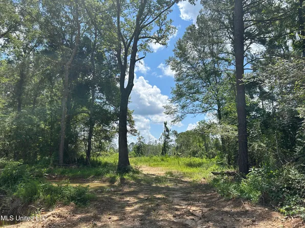 Henry Cannon Rd, Braxton, MS 39044