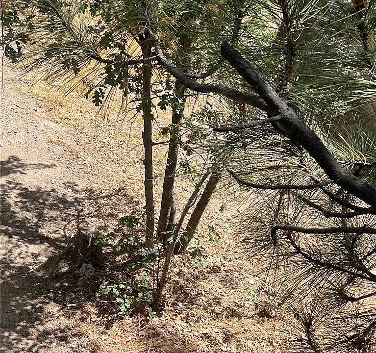 1st image of 0 Robin Ln