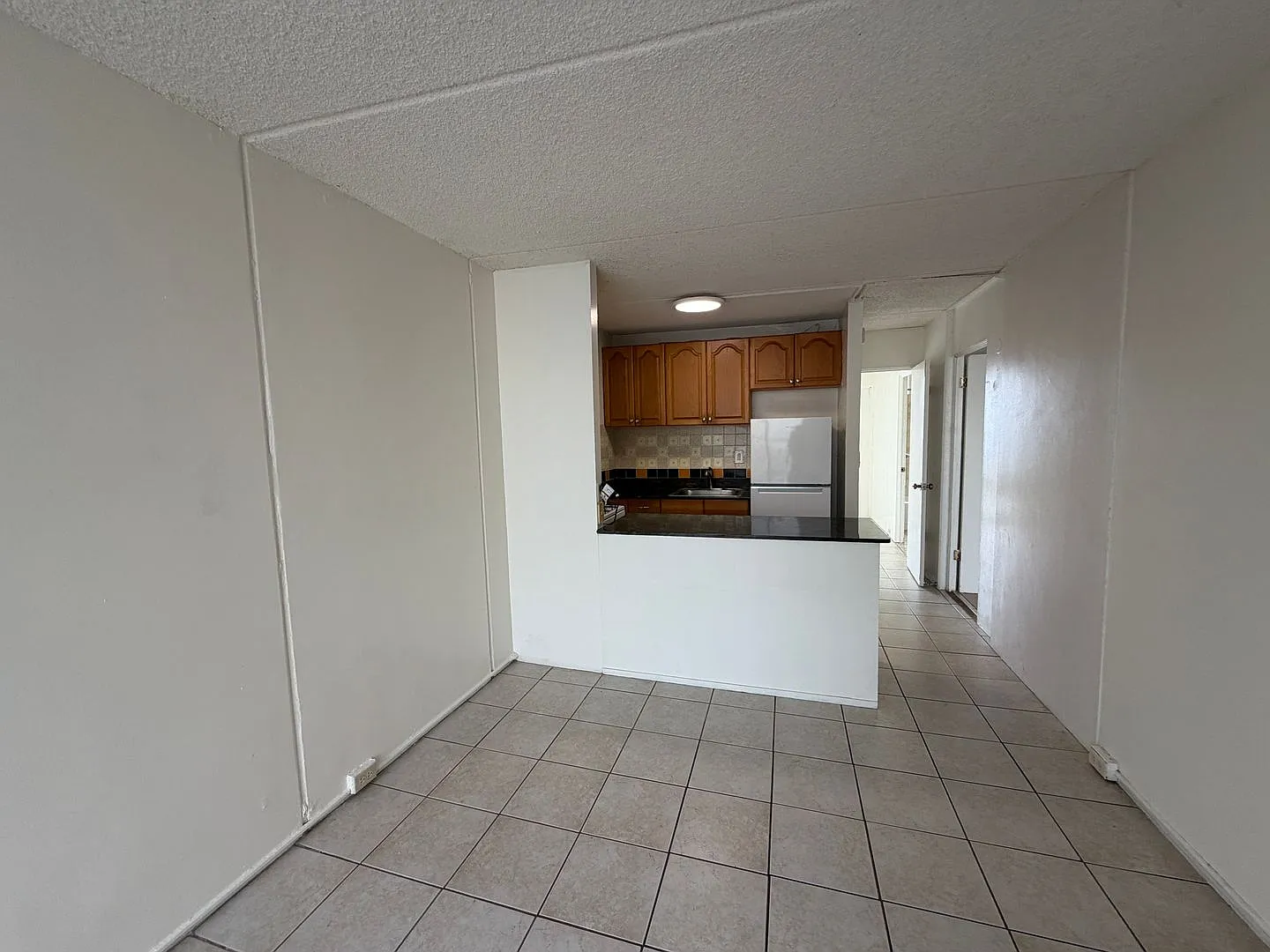 1315 Heulu Street — Photo 2