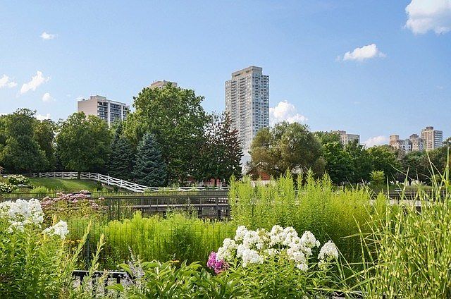 1st image of 2020 N Lincoln Park W APT 20B
