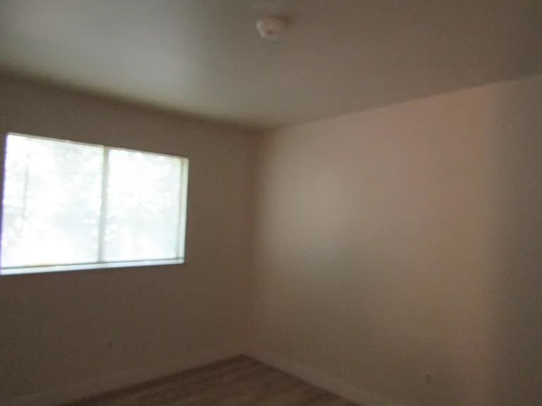 445 Jefferson Ave #11 — Photo 11