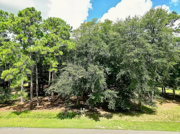 3121 Bogie Ct SW Lot 290, Supply, NC 28462