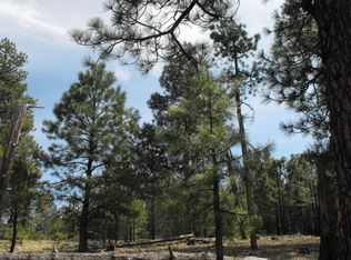 1858 Blue Sky Cir, Happy Jack, AZ 86024