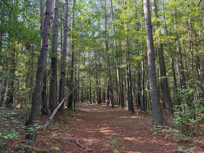 33.5 Acres-TBD Union Church Rd., Salters, SC, 29590