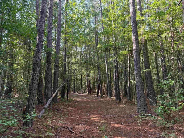 33.5 Acres-TBD Union Church Rd., Salters, SC 29590