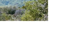 0 Mother Grundy Truck Trl LOT 1, Jamul, CA 91935