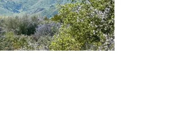 0 Mother Grundy Truck Trl Lot 1, Jamul, CA 91935