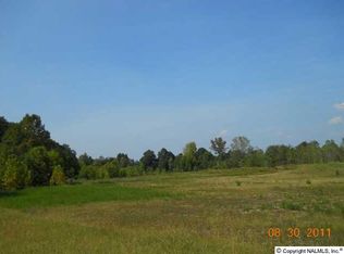 Gordon Terry Pkwy, Decatur, AL 35601