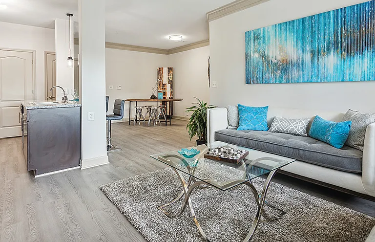 The Alexander at the District Apartments — Photo 9